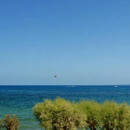 Iliessa أرغاسي